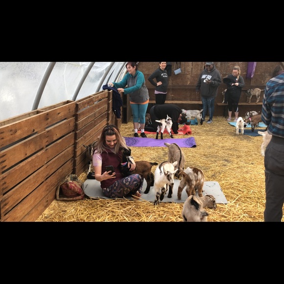 Meet your Posher, Jayne - Picture 5 of 8